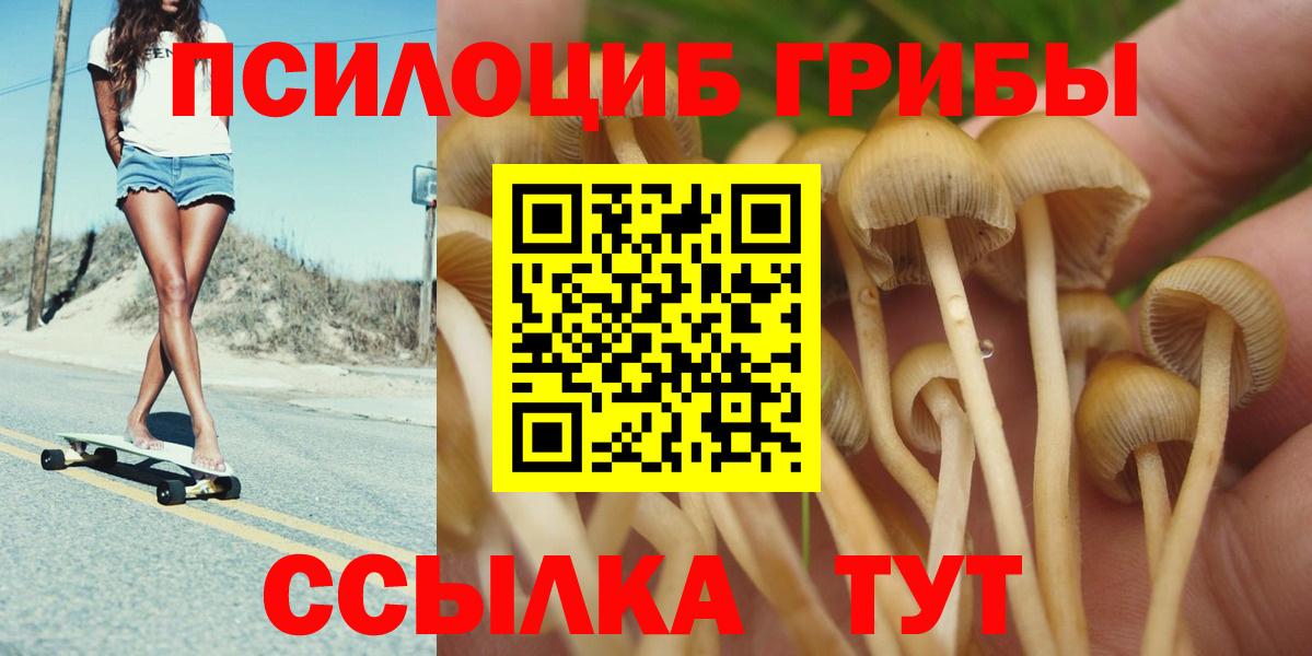 Малоярославец  Псилоцибиновые грибы мухоморы  дарнет шоп  Вход с VPN 