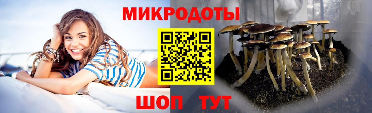 Галлюциногенные грибы прущие грибы Малоярославец